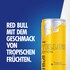 Red Bull Energy Drink Yellow Edition Tropical 250 ml Dose EINWEG Bild 1