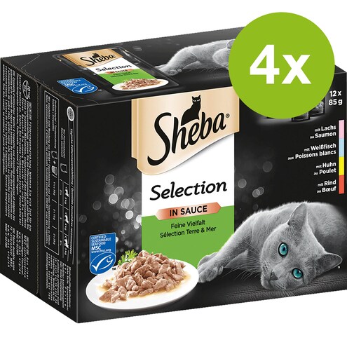 Sheba Selection in Sauce