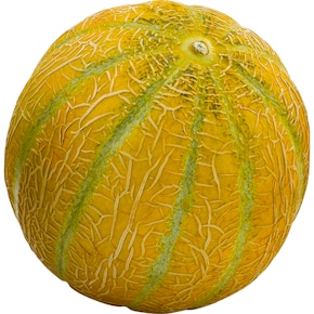Cantaloupe-Melone Bild 0