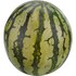 Bio Mini Wassermelone Bild 1