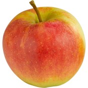 Apfel Elstar - süß-säuerlich
