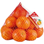 GUT&GÜNSTIG Mandarinen behandelt