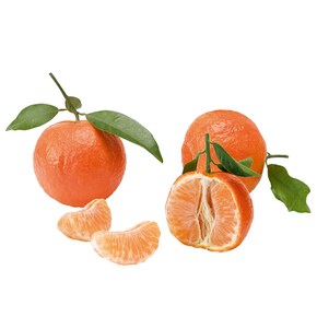 Clementinen mit Blatt Bild 0