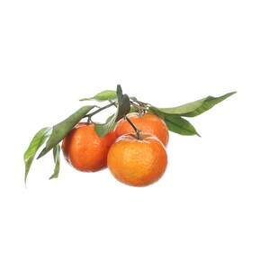 Mandarinen mit Blatt Bild 0