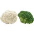 Bluccoli (Blumenkohl/Broccoli) Mini Bild 1