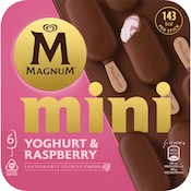 LANGNESE Magnum Mini Yoghurt & Raspberry Familienpackung