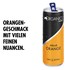 Organics by Red Bull Black Orange 250 ml Dose Bio Getränk EINWEG Bild 2