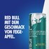 Red Bull Energy Drink Winter Edition Feige-Apfel 250ml Dose EINWEG Bild 1